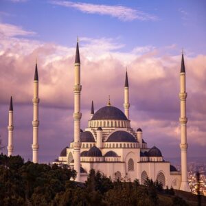Memory Training Courses in Turkey